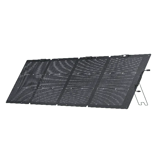 EcoFlow 220W Bifacial